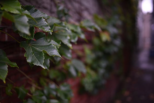 SIGMA 35mm F1.4 DG HSM