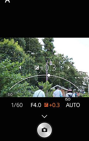 ILCE-QX1