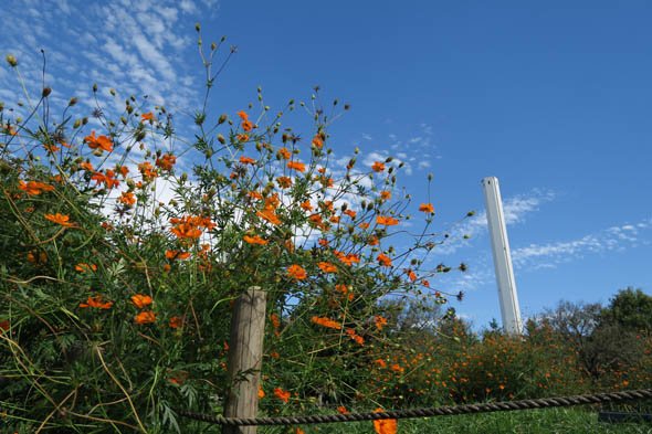 PowerShot G7 X