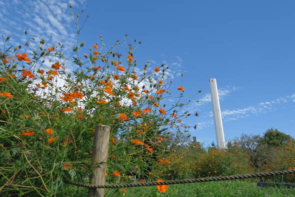 PowerShot G7 X