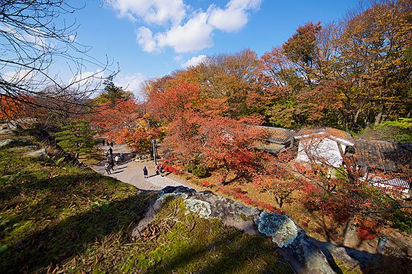 小諸の紅葉