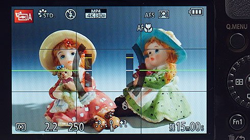 LUMIX DMC-LX100