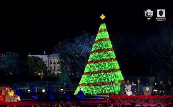  tree 1
