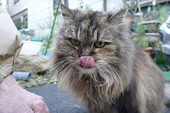 LUMIX CM1
