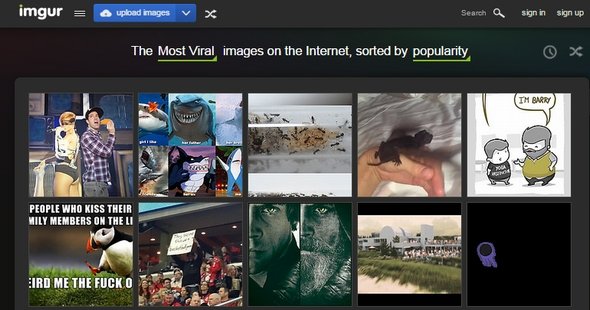  imgur 1