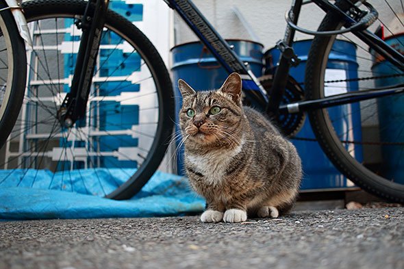 EF-S24mm F2.8 STM