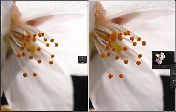 デジカメ撮影術 桜