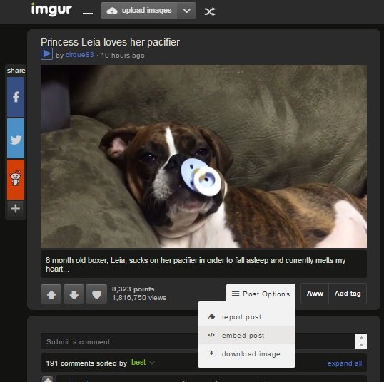  imgur 1