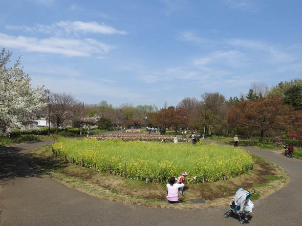 COOLPIX P900