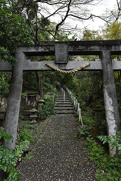 SIGMA 24mm F1.4 DG HSM