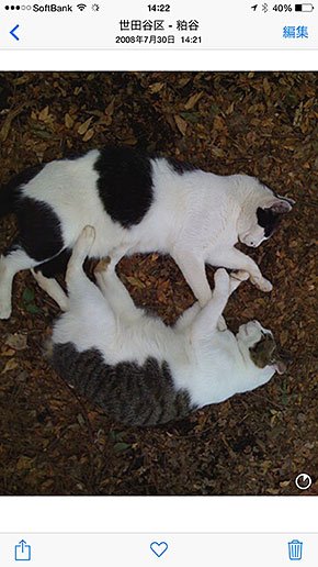 iPhotoから写真へ