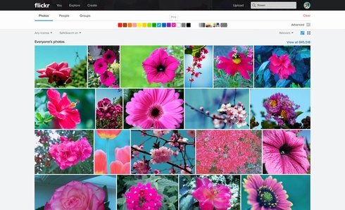  flickr 4