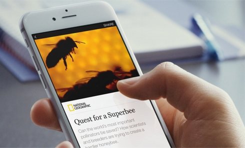  facebook 1