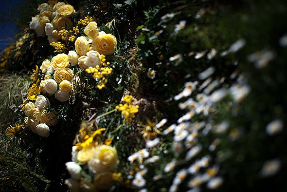 暗く仕上げた写真。こちらの写真は、イメージしやすいように一枚の写真をAdobe Photoshop Lightroom 5で明るくしたり暗くしりしたものです