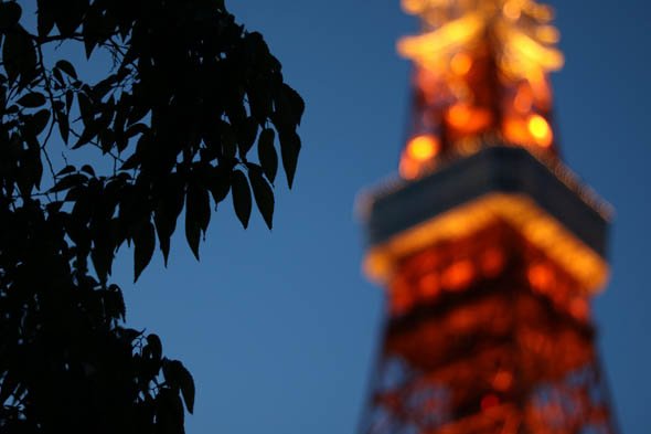 EF50mm F1.8 STM