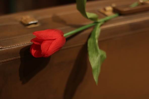 EF50mm F1.8 STM