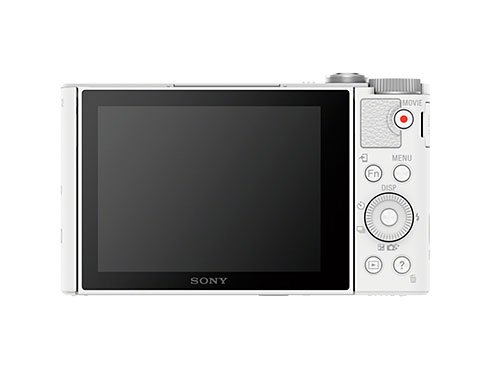 DSC-WX500
