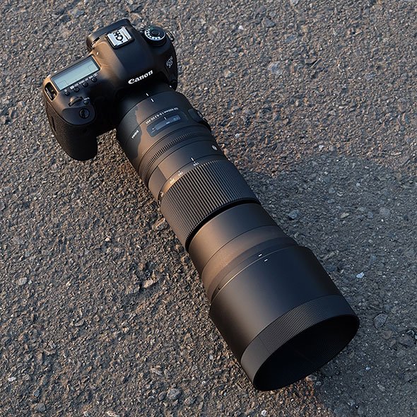 SIGMA 150-600mm F5-6.3 DG OS HSM Contemporary