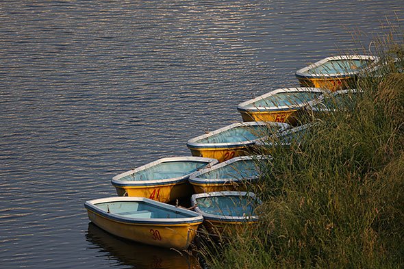 SIGMA 150-600mm F5-6.3 DG OS HSM Contemporary