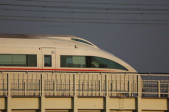 SIGMA 150-600mm F5-6.3 DG OS HSM Contemporary