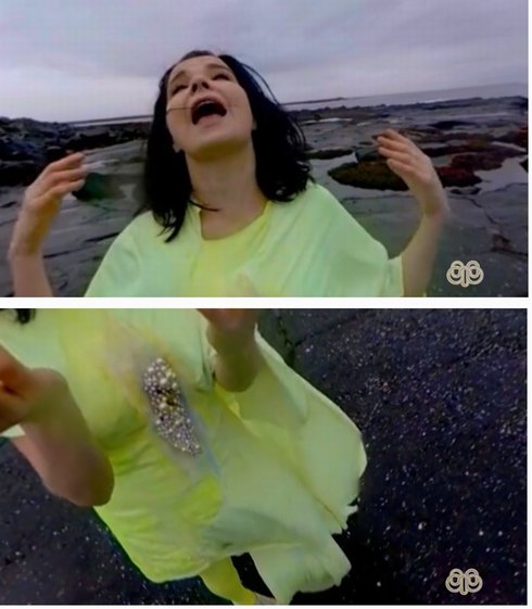  bjork2