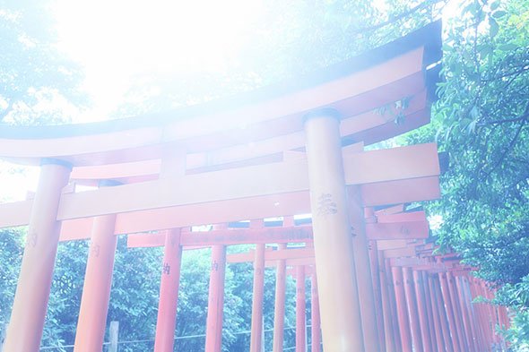 ハイキー写真
