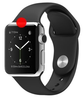  bezel