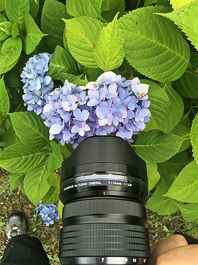 M.ZUIKO DIGITAL ED 7-14mm F2.8 PRO