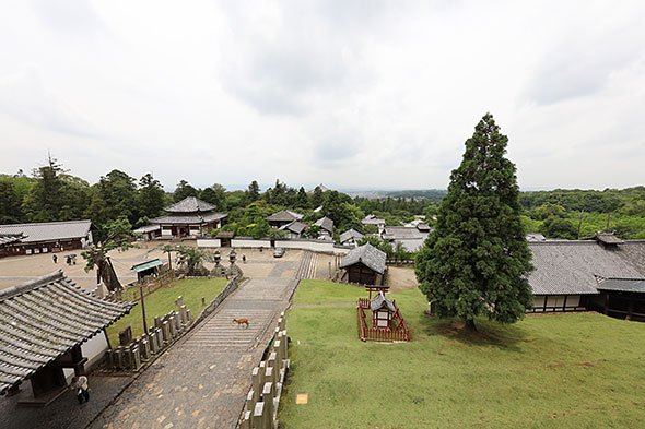 EOS 5Ds R