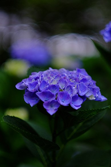 FUJIFILM X-T10