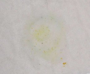 カレー