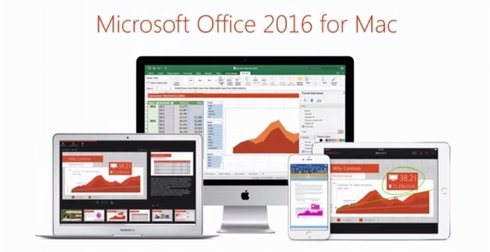  office 1