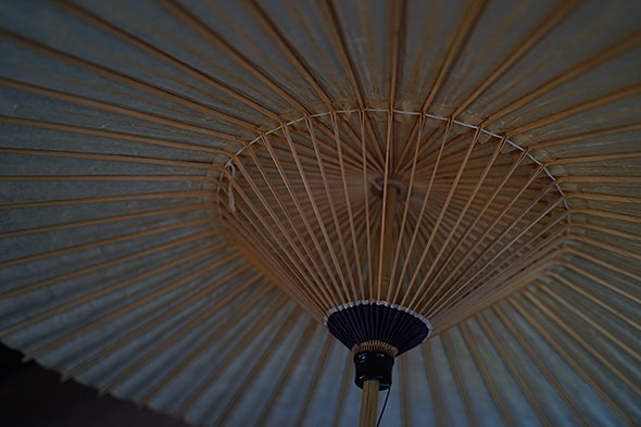 Distagon T* FE 35mm F1.4 ZA（SEL35F14Z）