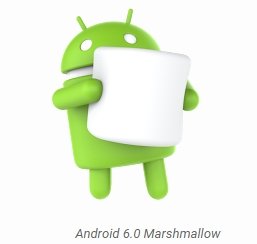  marshmallow 1