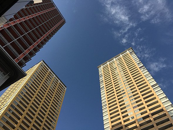 iPhone 6s Plus Photo