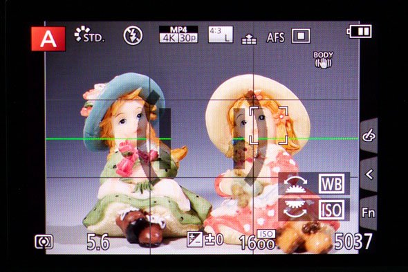 LUMIX DMC-GX8