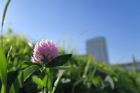 PowerShot G5 X