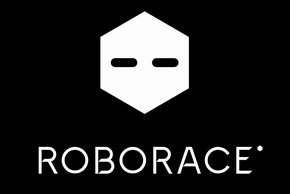  roborace 1