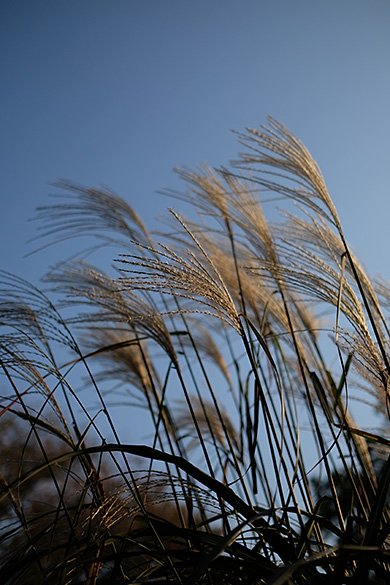 XF23mmF1.4 R
