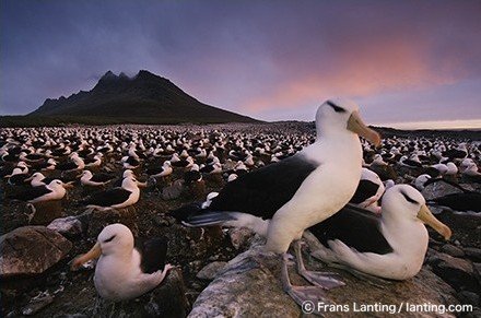 フランス・ランティング写真展「LIVING EARTH」