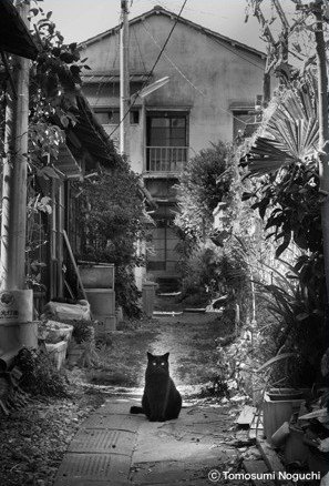 野口倫住 写真展 「住み継ぐ モクミツ/木造住宅密集地域」
