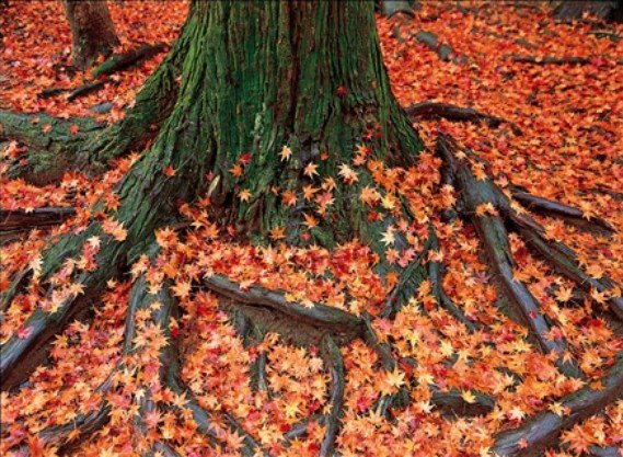 第11回 美しい風景写真 100人展