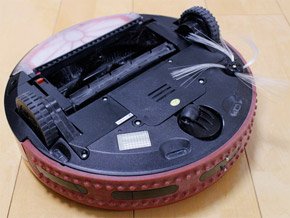 マオ裏面