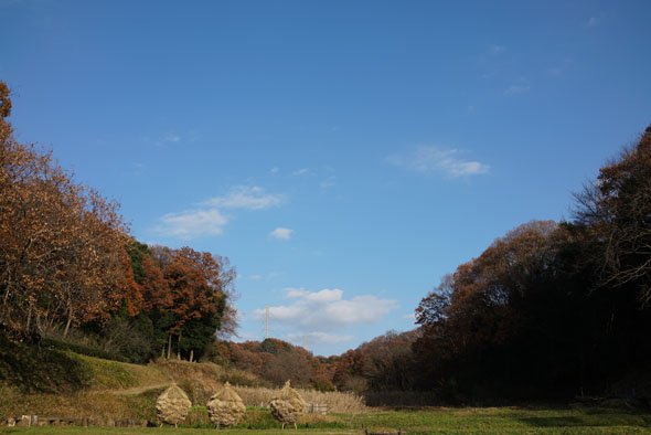 RX1R II