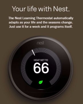  nest 1