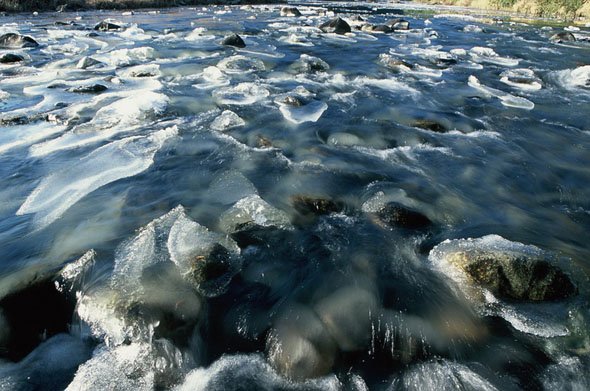 黒沢富雄 写真展「久慈川の氷花」（くじがわのしが）