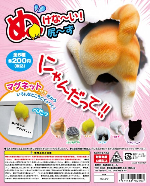 ネコのお尻