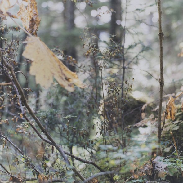 山田博行 写真展「CABIN」