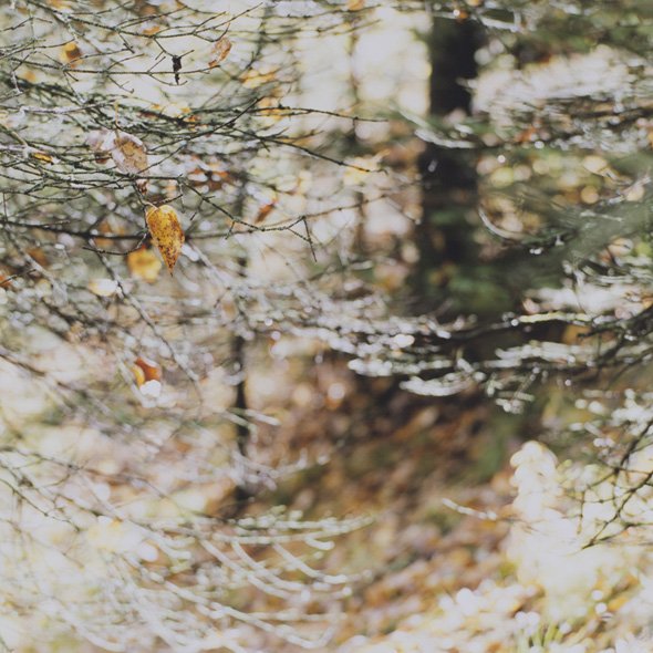 山田博行 写真展「CABIN」