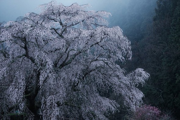 Xシリーズ写真展 －2016春－